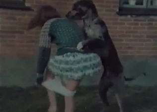 Pig is being pounded by a hardcore farmer