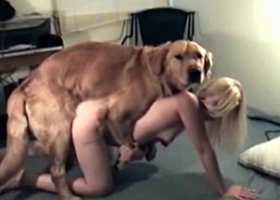 Hardcore amateur zoo porn in the bed