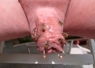 Insanely dirty sex with the insects