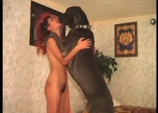 Cutie is jumping on a doggy