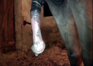 Small pony is so submissive