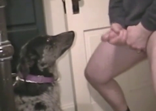 Cute man is cumming on the face of his trained animal