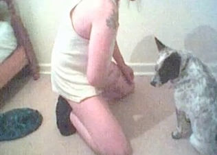 Small doggy is enjoying perverted animal porn