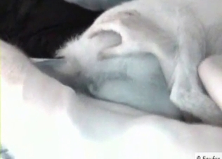 Shepherd is enjoying anal sex in the bedroom