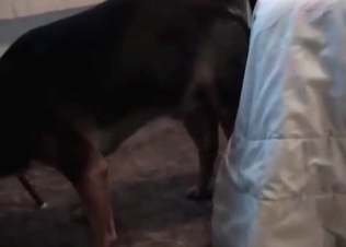 Oral action with a nice dog