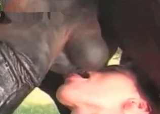 Redhead bitch suck a horse dick