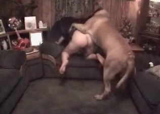 Young babe enjoys dog sex so much