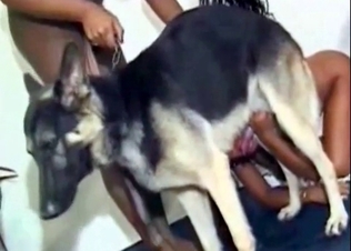 Tanned chick is sucking a doggy dick