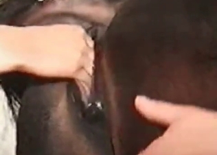 Fisting that mare's delicious pussy